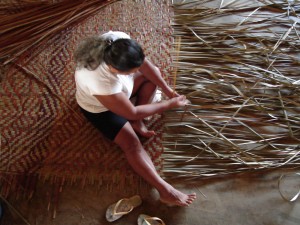 Leia mais sobre o artigo Curso resgata a prática do Manejo de Arumã em Novo Airão (AM)
